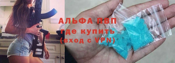 прущие грибы Армянск