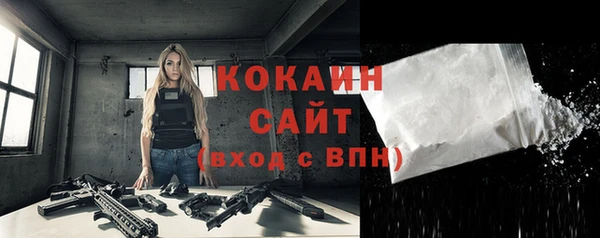 прущие грибы Армянск