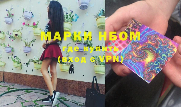прущие грибы Ступино