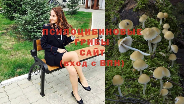 соль ск Аркадак