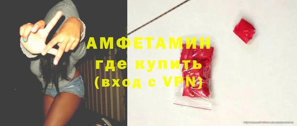 прущие грибы Армянск