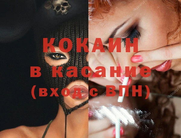 прущие грибы Армянск