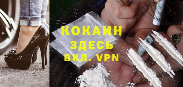 прущие грибы Армянск